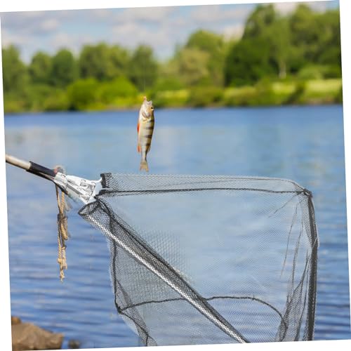 POPETPOP Detachable Fishing Net Head Replacement for Fish Catching Basket Stainless Steel Solid Frame with Portable Lightweight Net for Removal and Fast Water Drainage