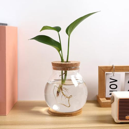 Clear Desktop Fish Bowl with Lid, Small Glass Table Fish Tank with Wood lid Betta Aquarium Plant Terrarium Vase for Home Office Decoration, 13X14cm/3.9X4.2in