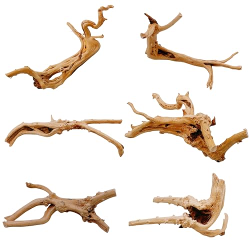 6PCS Aquarium Driftwood 6-8in Natural Spider Wood Branches Reptiles Aquarium Fish Tank Decoration Assorted - size: M:Spiderwood (6-8in 6PCS)