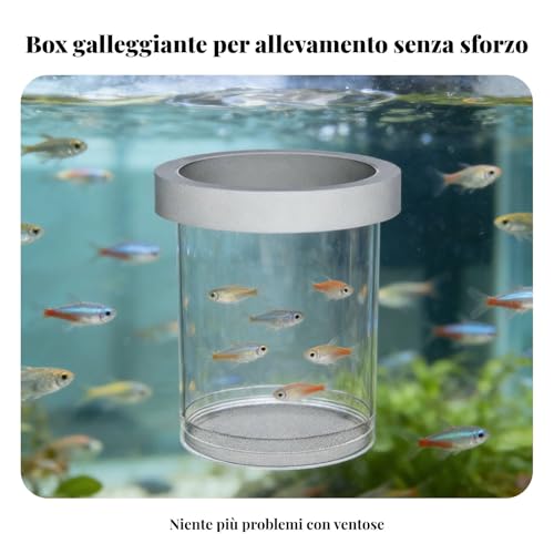 predolo Guppy Breeding Container High-Visibility Buoyant Breeder Box Double Mesh Design Buoyant Breeding Box, White, M A - color: White, size: M A