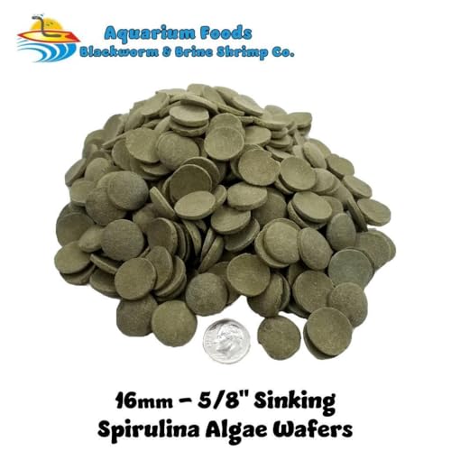 16mm - 5/8" Medium/Large Sinking Wafers of Algae, Spirulina, Veggies for All Tropical Fish, African Cichlids, Shrimp, Snails, Crabs, Catfish, Plecos..…1-lb 0.3oz Clear Bag