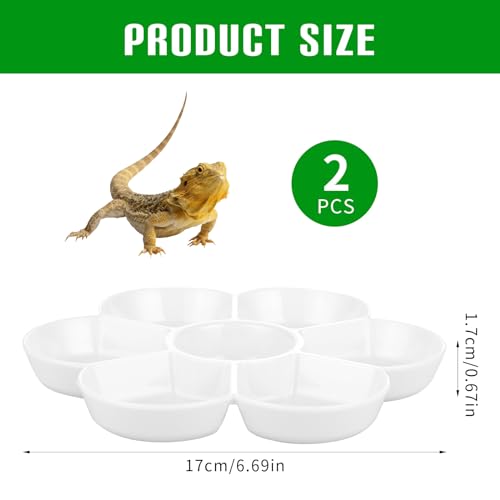 2 Pcs Hermit Crab Ceramic Food Dish, Small Hermit Crab Water Dish Hermit Crab Kit Mini Food Dish Kit for Hermit Crab Tarantula and Snail (White)
