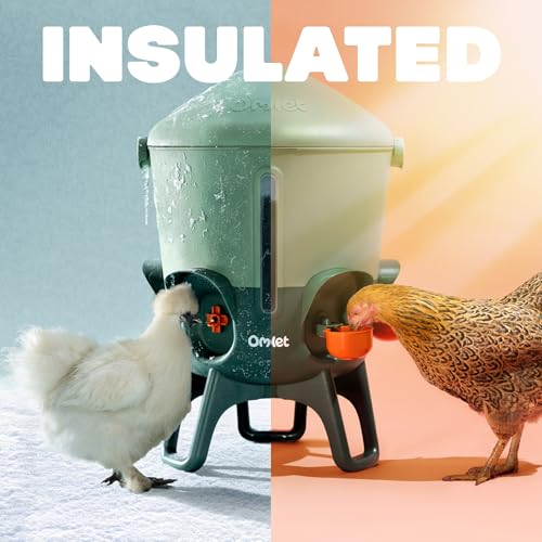 Omlet Insulated Chicken Waterer, 3 Gallon | Stay-Clean Automatic Water Dispenser for Chickens | BPA-Free | Anti-Roost Domed Lid | Includes 5 Cups & Nipples | Sage Green - color: Sage Green, size: 3 Gallon
