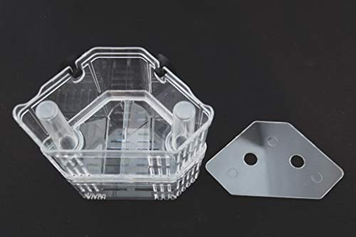 Aquarium Fish Breeder Box for Hatchery, Isolator, Injured Fish, Shrimp Clownfish (BX-007) - size: BX-007