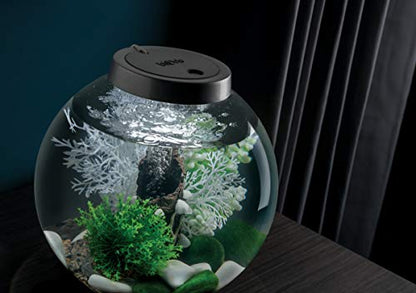 biOrb Fairy Tale Décor Set, Green Forest Themed Collection of Fish Friendly Aquarium Decorations