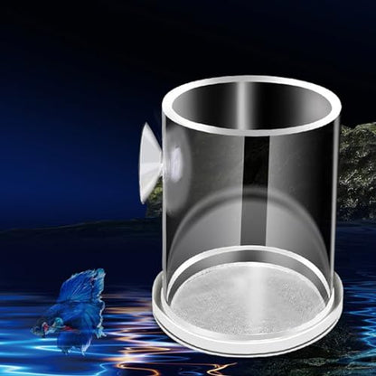 Acrylic Feeding Jar Fish Feeder Brine Shrimp Eggs Red Worms Food for Fish Feeding Bowl with Suction-Cup - size: Medium
