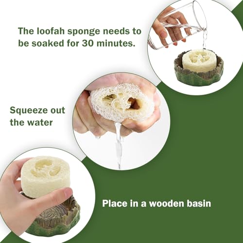 Cockroach Water Basin & 3 Loofah Set, Dubia Roaches Live Habitat Reptile Container Supplies for Terrariums & Enclosures, Comfortable Habitat for Roaches Live, Isopods, Springtails, Crickets