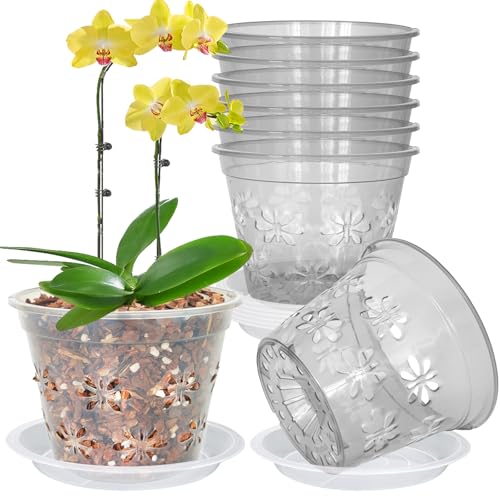 8 Pack 4''(top Diameter) x 3.1''H Orchid Pot, 4 5 6 7 8 inch Clear Orchid Pots with Holes & Saucers - Ideal for Repotting, Drainage & Healthy Growth(4", Grey) - color: Gray, size: 4'' x 3.1'' (8 pack)