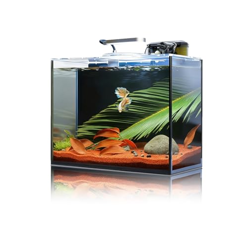 2.6 Gallon Small