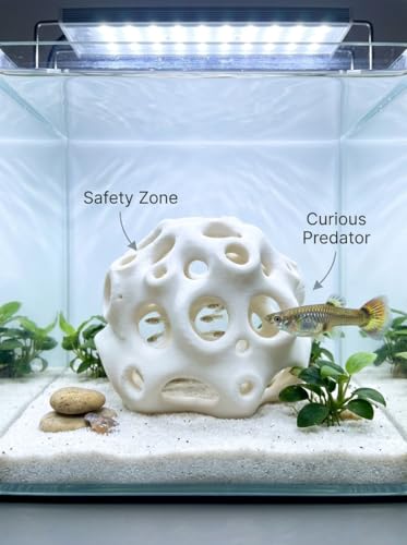 Aquarium Fish Shelter & Shrimp Cave 3D Printed Premium Breeding House for Fish Fry, Baby Shrimp Hideout, Moss & Plant Holder for Aquascaping, Non-Toxic Live Fish Tank Decoration Organizer