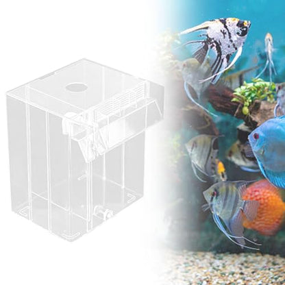 Baoblaze Aquarium Breeder Box Breeding Box Betta Clown Separation Net Guppy Separator Hatchery Breeder, Clear