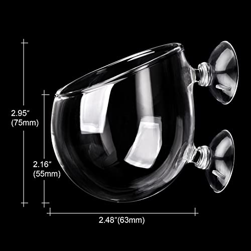 Aquarium Plant Decoration with 2 Suction Cups for Fish Tank, Glass