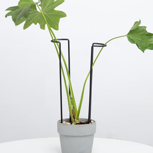 10-Pack Monstera Plant Support - 12 Inch Durable Iron U-Shaped Trellis Stakes for Indoor & Outdoor Medium-Sized Potted Plants - Perfect Stem Holder for Monstera & More - color: Black, size: 12 Inch H