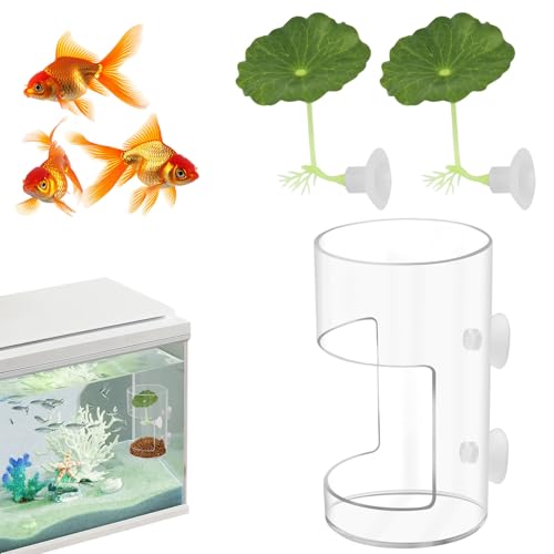 Fish Tank Food Tray with Suction Cups Comes with Two Single-Layer Small Lotus Leaves, Feeding Tube Supplies, Breeder Box for Aquarium, Round Aquariums & Fish Bowls Accessories - color: 4.Transparent