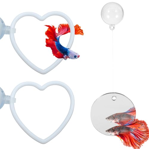 Beta Fish Aquariums Accessories, 1 Fish Mirror with Floating Ball & 2 Exercise Training Ring Toys, Fish Feeding Ring, Betta Fish Toys Set for Tank, Enrichment Toys for Fish - color: white heart ring