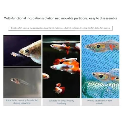 Suspended Aquariums Breeding Box Clear Isolation Net for Fishtanks with Easy Installation Nursery Divider