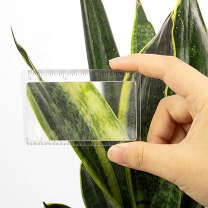 Frienda 50 Pcs Pocket Magnifying Glass 4X Fresnel Lens Credit Card Pocket Magnifier Plastic Ruler Starting Fire Emergency Bushcraft Outdoor Survival Leisure for Classroom Home Office (Green) - color: Green