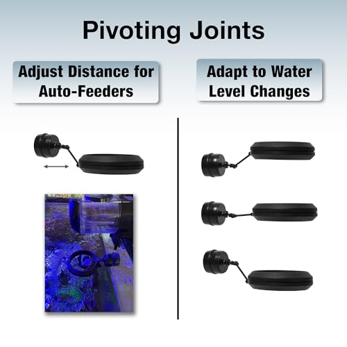 Two Little Fishies MagFeeder Magnetic Feeding Ring