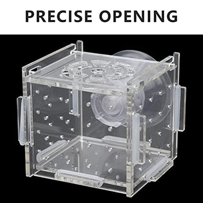 Fish Isolation Box | Acrylic Breeding Hatchery for Young Fishes/Shrimp | 1.5mm Hole Size with Feeding Port & Suction Cup | 6 Panels + 8 Silicone Rings (Single-Cable mini 6 * 6 * 6)