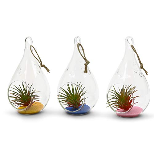WGV Glass Hanging Plant Terrarium Bulk, Width 3", Height 5.5", Teardrop DIY Air Succulent Planter Clear Tea Light Votive Candle Holder, Wedding Event Office Home Outdoor Decor, 6 Pieces