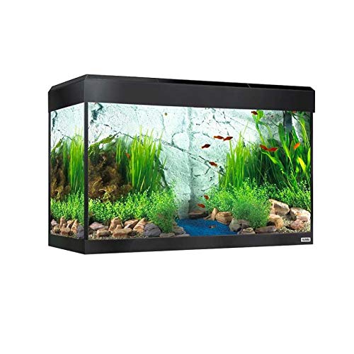 Roma Lighting 200 Bluetooh 952mm-20w