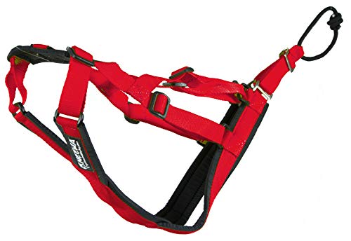 Adjustable Sled Pro Harness - Small, Red, Great for Dog Joring - color: Red, size: Small