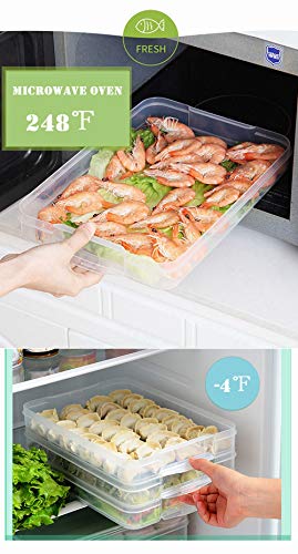 TIAN CHEN Food Refrigerator Storage Containers with 2 Lids, 4 Layer, Stackable Handheld Carrier for Snack, Cookie, Meat, Bacon, Charcuterie, BPA Free (Transparent 4 tier)