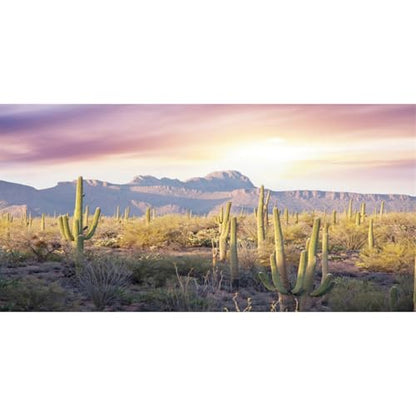 AWERT Reptile Habitat Background Blue Sky Oasis Mountain Cactus Sun and Desert Terrarium Background 48x24 inches