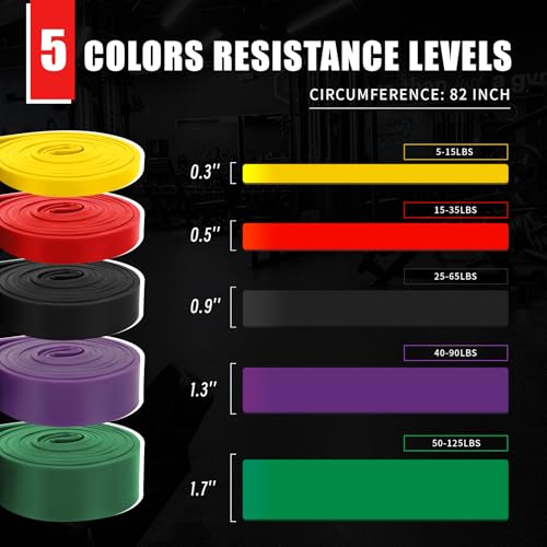 Resistance Bands Set with Door Anchor for Pull-Ups and Strength Training | For Assisted Pull-ups, Stretching, Fitness, Muscle Training and Physical Therapy, Suitable for Women and Men at Home or Gym