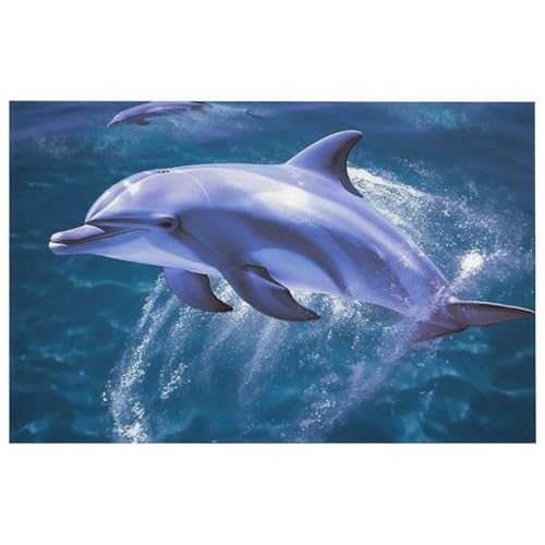 Outdoor Door Mat 15.7" X 23.6" Non-Slip Doormat Blue Ocean Dolphin Front Door Mats Quick Dry Welcome Mats for Outdoor Indoor Entrance Mat Home Decor Floor Mats for Patio - color: Blue Ocean Dolphin