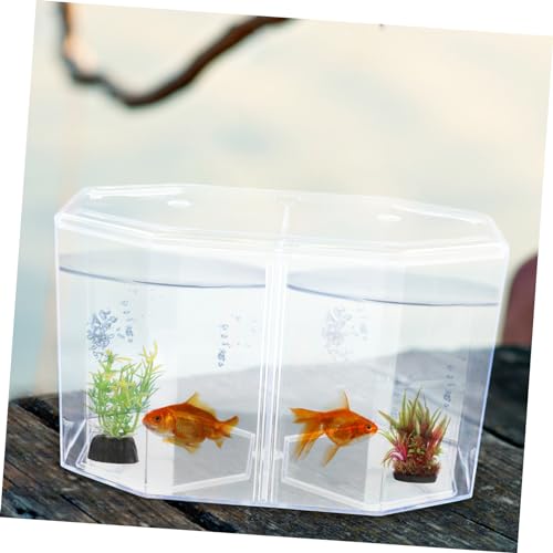 Box Small Separation Incubator Mini Divider Hatchery Landscape Isolating for Decorative Household Goldfish Octopus Spawning Desktop Tool Breeder Clear Micro Aquarium Isolation