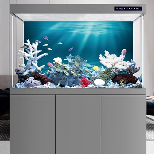 AWERT 48x24 inches Undersea Theme Aquarium Background Sunshine Underwater World Fish Tank Background Vinyl - size: 48x24in/120x60cm