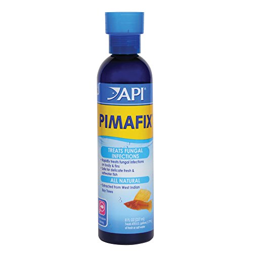 API PIMAFIX Antifungal Freshwater and Saltwater Fish Remedy 8-Ounce Bottle (10H) - size: 8 oz