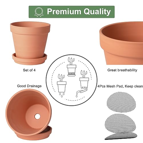 6 inch Terracotta & Clay Pots for Plants with Saucer, Medium Terra Cotta Plant Pots with Drainage Hole, Flowerpot with Tray, Terracotta Pot for Indoor Outdoor Plant - Pack of 4 Planters