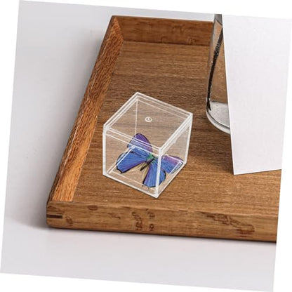 Homoyoyo 12pcs Mineral Specimen Display Case Plastic Box Dividers Mini Storage Container Food-Grade Easy Viewing Design