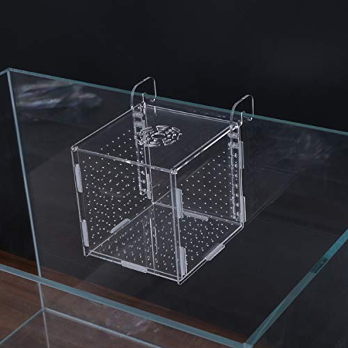 Aquarium Fish Breeding Box - Transparent Acrylic Fish Tank Hatchery Hanging Incubator for Shrimp Clownfish (Hook 151516cm)