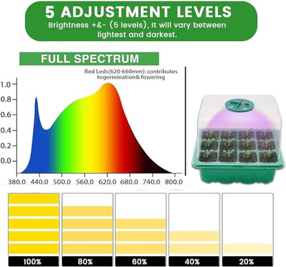 Seed Starter Tray with Grow Light，Seed Starter Kit with Timing Controller Adjustable Brightness, Heightened Lids Growing Trays for Greenhouse & Gardens，4 Pack (Green)