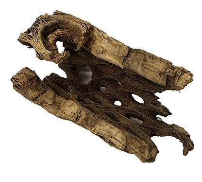 Natural Cholla Wood Chunk Air Plant Display Holders Individually Unique Decorative Stands Holder (Cholla Chunk)