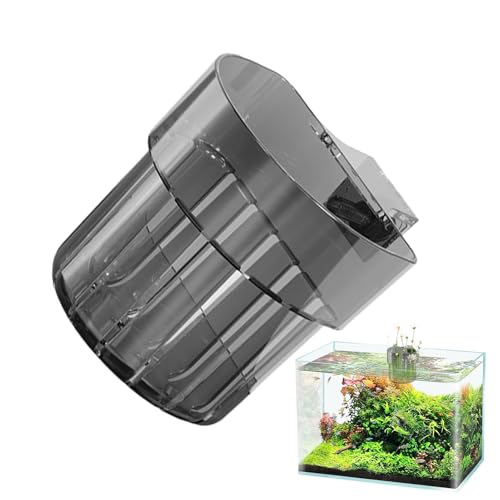Plances for Pisher Tank Assembled Aquarium | Plant with Hook | Fish with Water Hooks | Water Grow Decoration