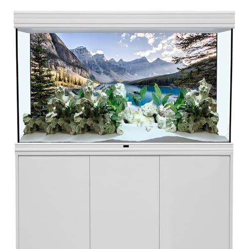YongFoto Fish Tank Background 24x16 inch Aquarium Background Forest Lakes Rivers Mountains Nature Scenery Backdrop Reptile Habitat Terrarium Background - color: Green-5, size: 24x16in/60x40cm