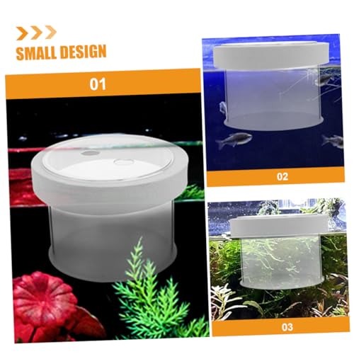 Acrylic Fish Breeding Box Mesh Bottom for Aquatic Nursery Medium Isolation Container for Fry and Shrimp Easy Aquarium Use