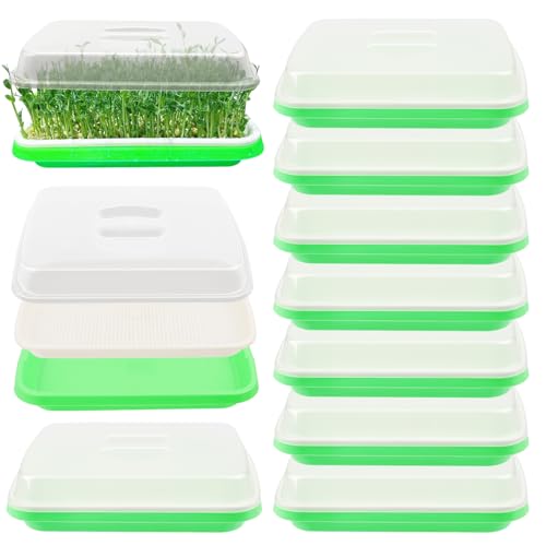 10 Pack 12.6 x 10 x 4.8 inch Microgreens Growing Trays with Lids, BPA-Free Sprouting Trays, Germination Tray for Beans, Wheatgrass & Microgreens, Home, Kitchen & Garden - size: 10 Pack 12.6 x 10 inch green
