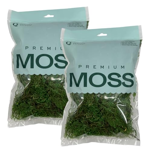 Preserved Sheet Moss - Premium Decorative Moss for Crafts, Home Décor, Art, Design & DIY Projects - Real Moss- Non-Toxic - USA-Made- (2-Pack Medium, Green) - color: Sheet Moss, size: Medium (2-Pack)