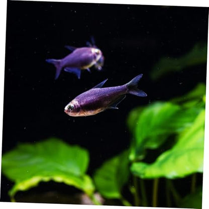 Aquarium Background Sticker: Fish Tank Backdrop Wallpaper Roll PVC Self-Adhesive Sticker Decal for DIY Aquarium Underwater Scenery Decoration
