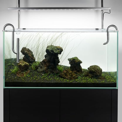 LINLAN 304 Stainless Steel Lily Pipe Inflow and Outflow with Mini Aluminum Alloy Pipe Holder, 360° Rotatable Outflow, Fits 5/8 Inch ID Filter Hose, for Rimless Aquariums (16mm-with Skimmer)