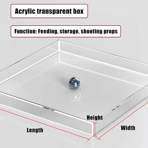 Transparent Acrylic Water Tank Shallow Sink Props, Deep Storage Box for Display, Coffee Tray for Cosmetics, Desktop Organizer (30x20x5cm / 11.8x7.9x2in)
