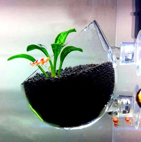 Plant Pot Aquarium Decor Aquatic Plant Cup with 2 Suction Cup for Fish Tank Aquarium Aquascape(2 Pack)