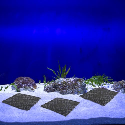 20pcs Fish Tank Undergravel Filtration System Fish 10 Gallon Tank Divider Fish Tank Stand Under Gravel Substrate for Black Fish Tank Bottom Grid