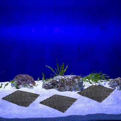 20pcs Fish Tank Undergravel Filtration System Fish 10 Gallon Tank Divider Fish Tank Stand Under Gravel Substrate for Black Fish Tank Bottom Grid