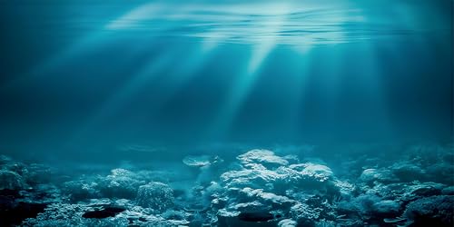 30X18 Inch Sunlit Underwater World Aquarium Backdrop - Vibrant Undersea Theme Fish Tank Background Durable Polyester Marine Decor - size: 30X18in